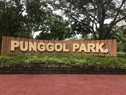 Blk 470B Upper Serangoon Crescent (Hougang), HDB 3 Rooms #204117041
